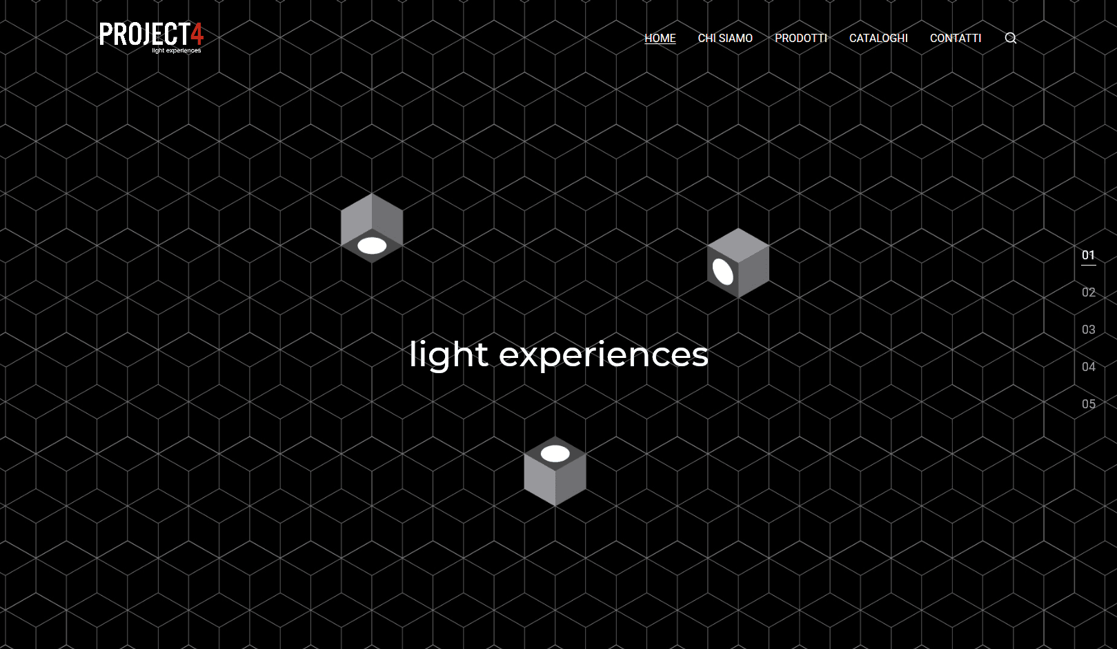 Porject 4 website showcase