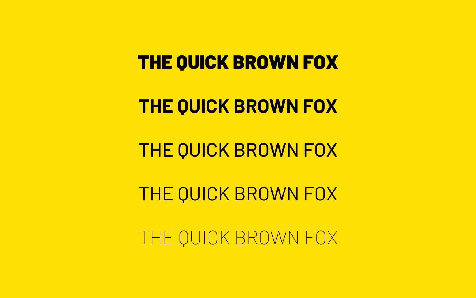 Best Free Sans Serif Font