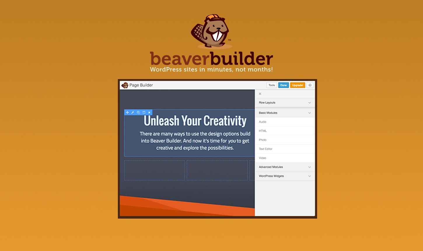 Best Page Builders for WordPress in