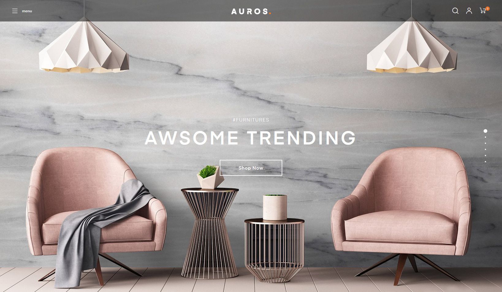 Auros WordPress Theme for online store