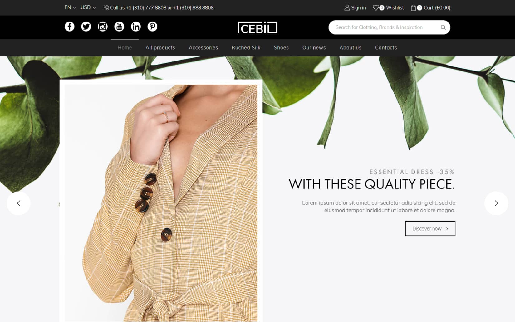 Best Elementor WordPress Themes