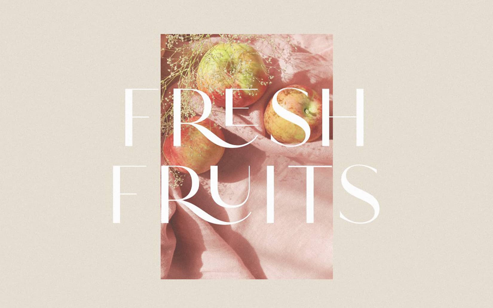 Best Display Fonts to download for free