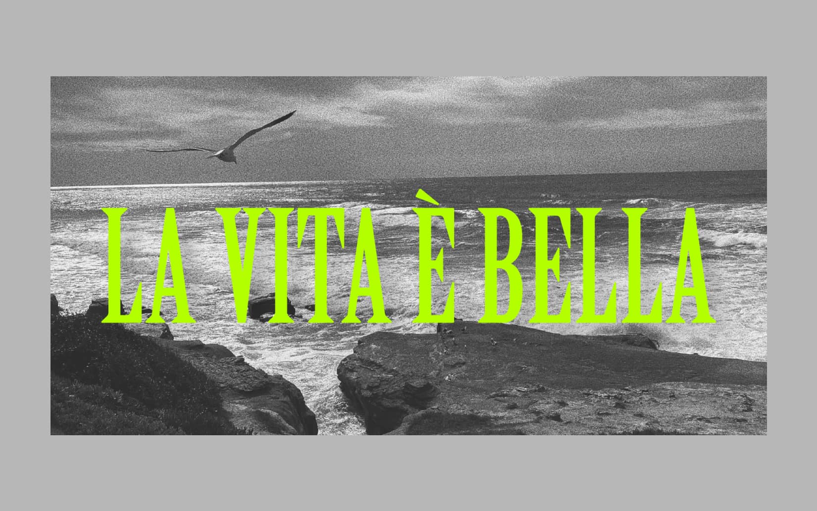 Best Adobe Fonts that you can download for free