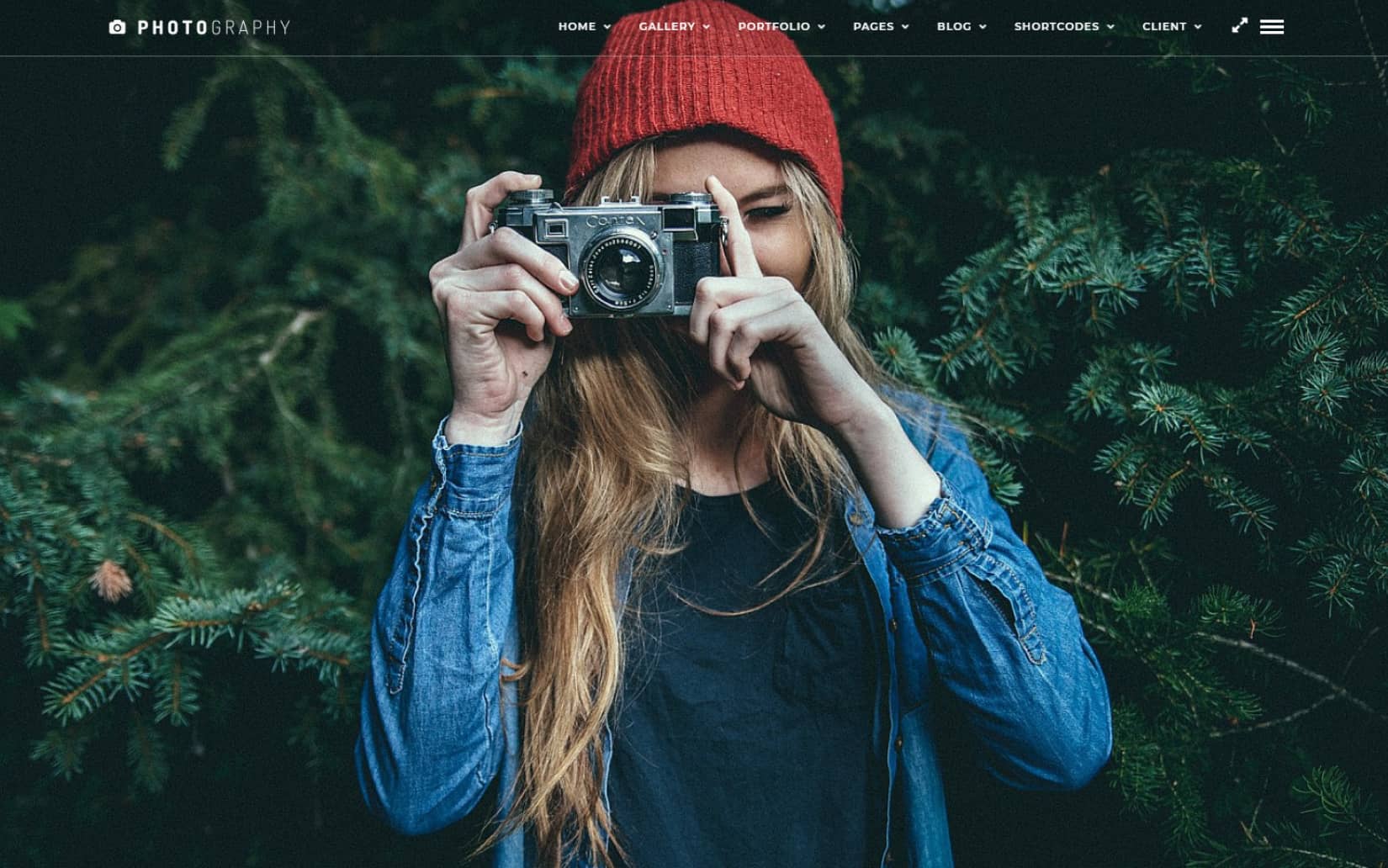 Most Beautiful Photography WordPress Themes