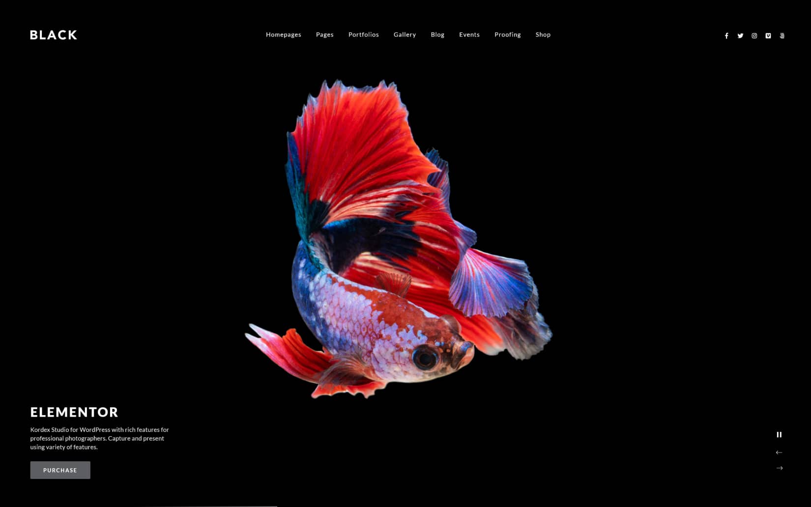 Best Photography WordPress Theme for photographers 2026