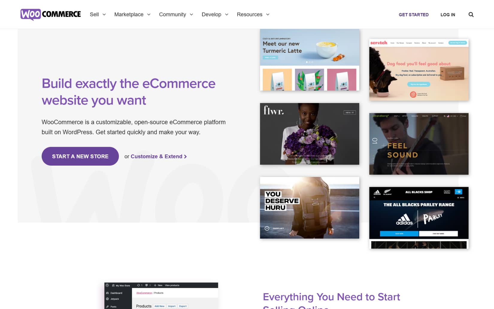 Must-have WordPress plugins for every business website