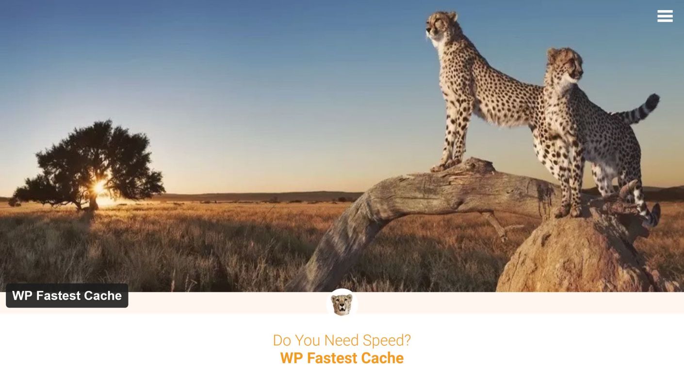 Best Caching PLugins for WordPress